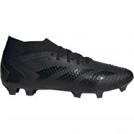 Adidas Predator Accuracy.2 FG GW4588 voetbalschoenen heren core black cloud white