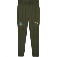 Puma Manchester City trainingsbroek heren myrtle bold blue